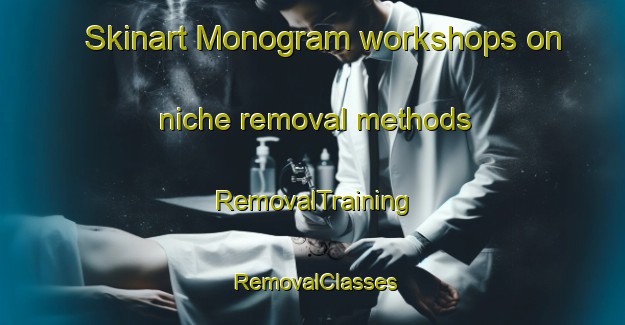 Skinart Monogram workshops on niche removal methods | RemovalTraining | RemovalClasses | SkinartTraining-United States