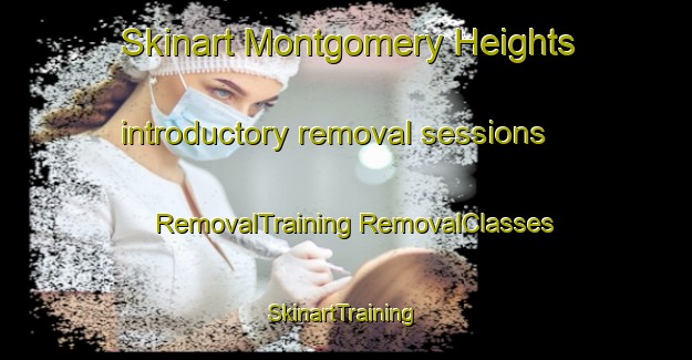 Skinart Montgomery Heights introductory removal sessions | #RemovalTraining #RemovalClasses #SkinartTraining-United States