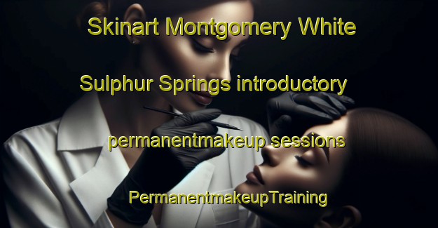 Skinart Montgomery White Sulphur Springs introductory permanentmakeup sessions | #PermanentmakeupTraining #PermanentmakeupClasses #SkinartTraining-United States