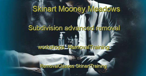 Skinart Mooney Meadows Subdivision advanced removal workshops | #RemovalTraining #RemovalClasses #SkinartTraining-United States