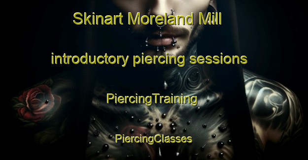 Skinart Moreland Mill introductory piercing sessions | #PiercingTraining #PiercingClasses #SkinartTraining-United States