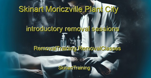 Skinart Moriczville Plant City introductory removal sessions | #RemovalTraining #RemovalClasses #SkinartTraining-United States