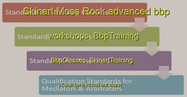 Skinart Moss Rock advanced bbp workshops | BbpTraining | BbpClasses | SkinartTraining-United States