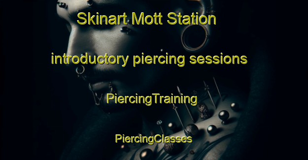 Skinart Mott Station introductory piercing sessions | #PiercingTraining #PiercingClasses #SkinartTraining-United States