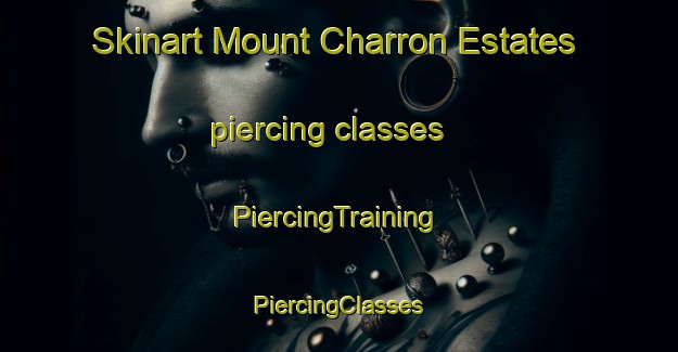 Skinart Mount Charron Estates piercing classes | #PiercingTraining #PiercingClasses #SkinartTraining-United States