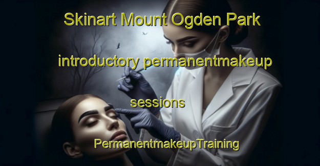 Skinart Mount Ogden Park introductory permanentmakeup sessions | #PermanentmakeupTraining #PermanentmakeupClasses #SkinartTraining-United States