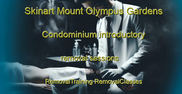 Skinart Mount Olympus Gardens Condominium introductory removal sessions | #RemovalTraining #RemovalClasses #SkinartTraining-United States