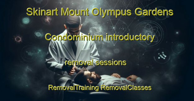 Skinart Mount Olympus Gardens Condominium introductory removal sessions | #RemovalTraining #RemovalClasses #SkinartTraining-United States