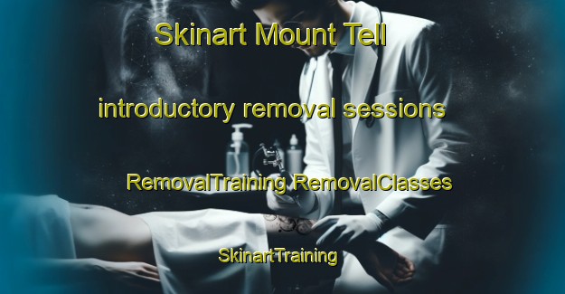 Skinart Mount Tell introductory removal sessions | #RemovalTraining #RemovalClasses #SkinartTraining-United States