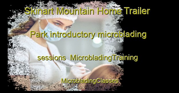 Skinart Mountain Home Trailer Park introductory microblading sessions | #MicrobladingTraining #MicrobladingClasses #SkinartTraining-United States