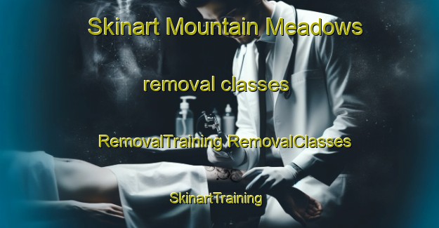 Skinart Mountain Meadows removal classes | #RemovalTraining #RemovalClasses #SkinartTraining-United States