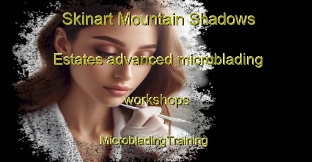 Skinart Mountain Shadows Estates advanced microblading workshops | #MicrobladingTraining #MicrobladingClasses #SkinartTraining-United States