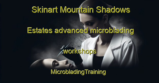 Skinart Mountain Shadows Estates advanced microblading workshops | #MicrobladingTraining #MicrobladingClasses #SkinartTraining-United States