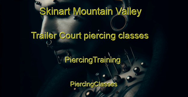 Skinart Mountain Valley Trailer Court piercing classes | #PiercingTraining #PiercingClasses #SkinartTraining-United States