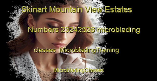 Skinart Mountain View Estates Numbers 23242526 microblading classes | #MicrobladingTraining #MicrobladingClasses #SkinartTraining-United States