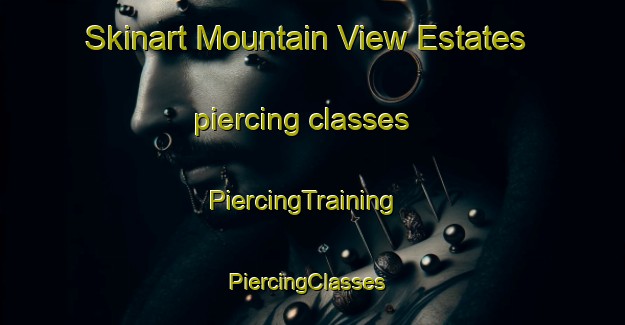Skinart Mountain View Estates piercing classes | PiercingTraining | PiercingClasses | SkinartTraining-United States