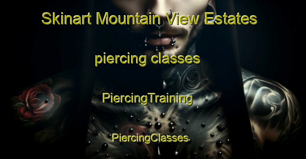 Skinart Mountain View Estates piercing classes | PiercingTraining | PiercingClasses | SkinartTraining-United States
