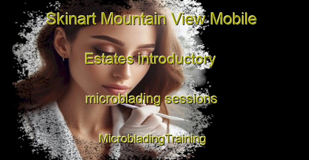 Skinart Mountain View Mobile Estates introductory microblading sessions | #MicrobladingTraining #MicrobladingClasses #SkinartTraining-United States