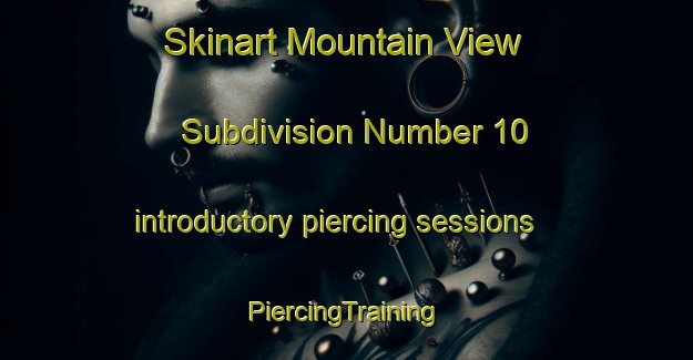 Skinart Mountain View Subdivision Number 10 introductory piercing sessions | #PiercingTraining #PiercingClasses #SkinartTraining-United States