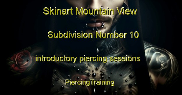 Skinart Mountain View Subdivision Number 10 introductory piercing sessions | #PiercingTraining #PiercingClasses #SkinartTraining-United States