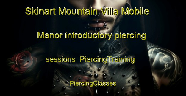 Skinart Mountain Villa Mobile Manor introductory piercing sessions | #PiercingTraining #PiercingClasses #SkinartTraining-United States