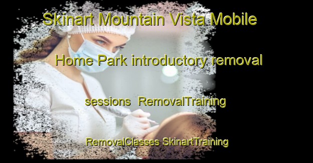 Skinart Mountain Vista Mobile Home Park introductory removal sessions | #RemovalTraining #RemovalClasses #SkinartTraining-United States