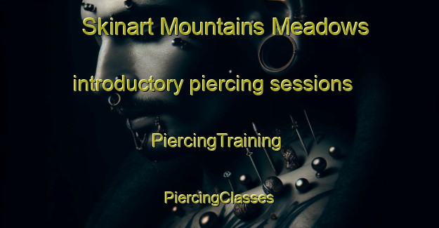 Skinart Mountains Meadows introductory piercing sessions | #PiercingTraining #PiercingClasses #SkinartTraining-United States