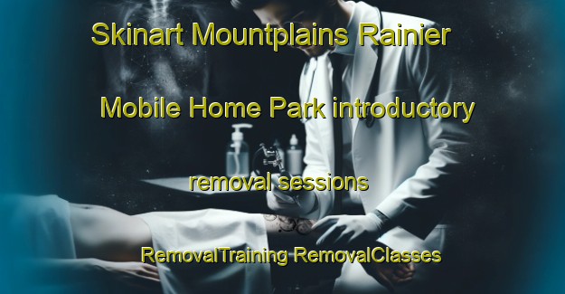 Skinart Mountplains Rainier Mobile Home Park introductory removal sessions | #RemovalTraining #RemovalClasses #SkinartTraining-United States