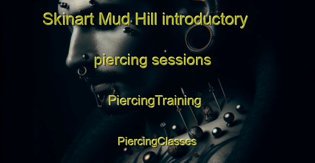 Skinart Mud Hill introductory piercing sessions | #PiercingTraining #PiercingClasses #SkinartTraining-United States