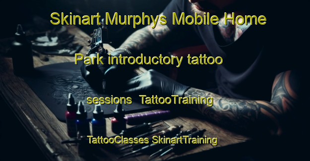 Skinart Murphys Mobile Home Park introductory tattoo sessions | #TattooTraining #TattooClasses #SkinartTraining-United States