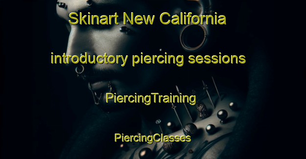 Skinart New California introductory piercing sessions | #PiercingTraining #PiercingClasses #SkinartTraining-United States