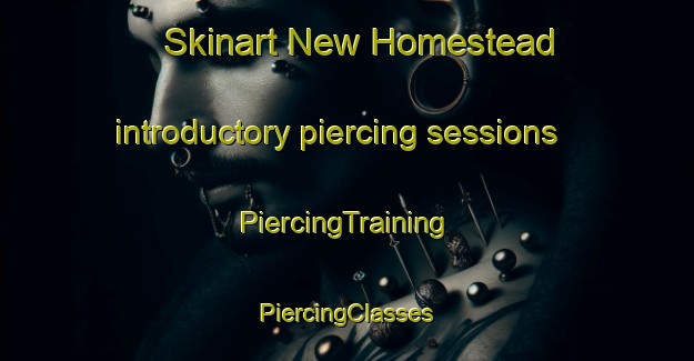 Skinart New Homestead introductory piercing sessions | #PiercingTraining #PiercingClasses #SkinartTraining-United States