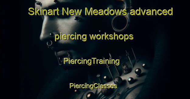 Skinart New Meadows advanced piercing workshops | PiercingTraining | PiercingClasses | SkinartTraining-United States