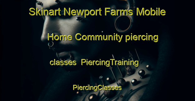 Skinart Newport Farms Mobile Home Community piercing classes | #PiercingTraining #PiercingClasses #SkinartTraining-United States