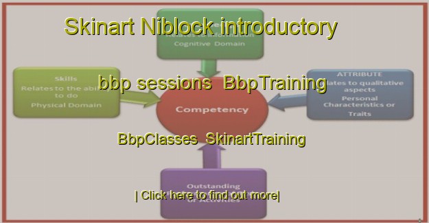 Skinart Niblock introductory bbp sessions | BbpTraining | BbpClasses | SkinartTraining-United States