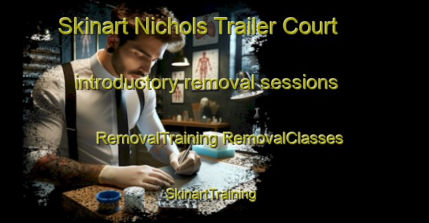 Skinart Nichols Trailer Court introductory removal sessions | #RemovalTraining #RemovalClasses #SkinartTraining-United States