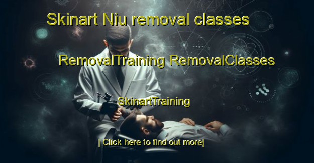 Skinart Niu removal classes | #RemovalTraining #RemovalClasses #SkinartTraining-United States