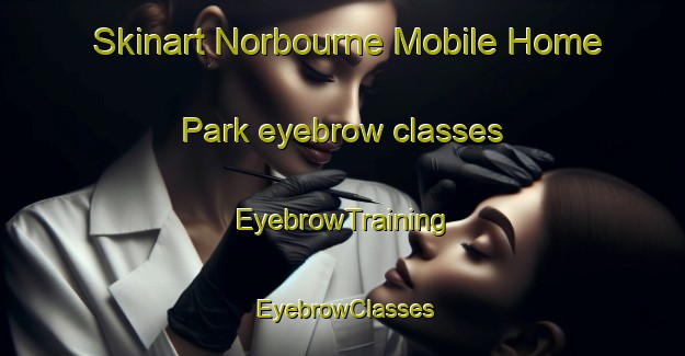 Skinart Norbourne Mobile Home Park eyebrow classes | EyebrowTraining | EyebrowClasses | SkinartTraining-United States
