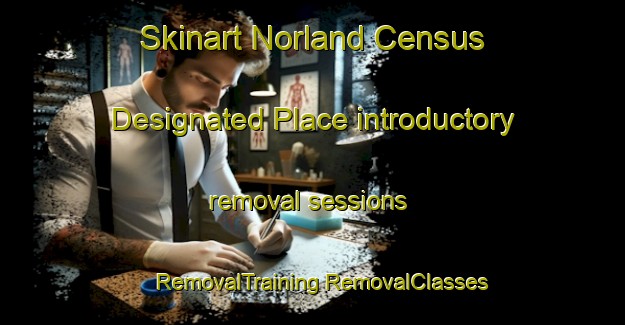 Skinart Norland Census Designated Place introductory removal sessions | #RemovalTraining #RemovalClasses #SkinartTraining-United States