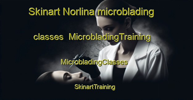 Skinart Norlina microblading classes | MicrobladingTraining | MicrobladingClasses | SkinartTraining-United States