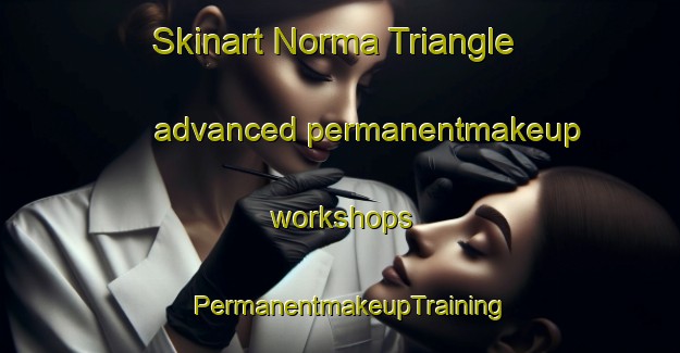 Skinart Norma Triangle advanced permanentmakeup workshops | PermanentmakeupTraining | PermanentmakeupClasses | SkinartTraining-United States