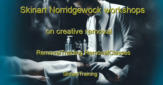 Skinart Norridgewock workshops on creative removal | #RemovalTraining #RemovalClasses #SkinartTraining-United States