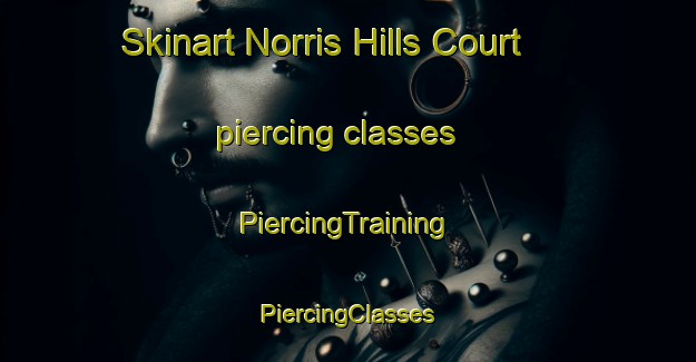 Skinart Norris Hills Court piercing classes | #PiercingTraining #PiercingClasses #SkinartTraining-United States