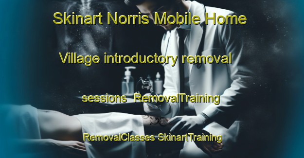 Skinart Norris Mobile Home Village introductory removal sessions | #RemovalTraining #RemovalClasses #SkinartTraining-United States