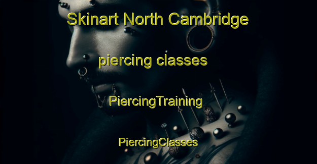 Skinart North Cambridge piercing classes | #PiercingTraining #PiercingClasses #SkinartTraining-United States