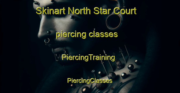 Skinart North Star Court piercing classes | #PiercingTraining #PiercingClasses #SkinartTraining-United States