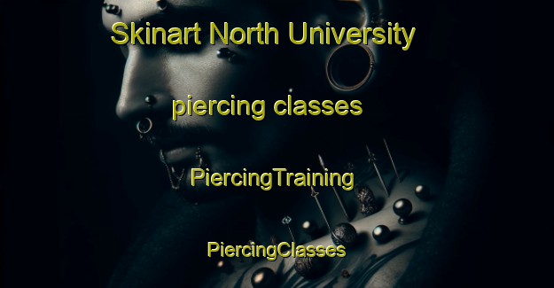 Skinart North University piercing classes | #PiercingTraining #PiercingClasses #SkinartTraining-United States