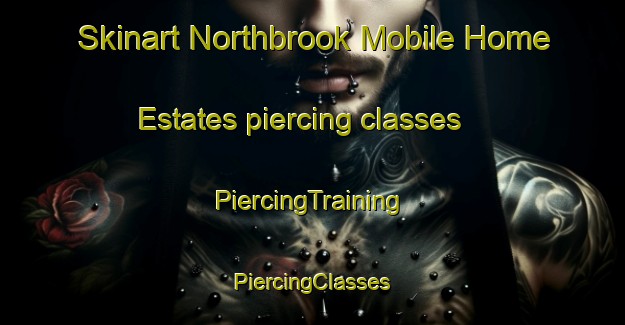 Skinart Northbrook Mobile Home Estates piercing classes | #PiercingTraining #PiercingClasses #SkinartTraining-United States