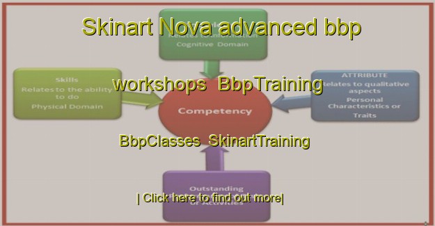 Skinart Nova advanced bbp workshops | BbpTraining | BbpClasses | SkinartTraining-United States
