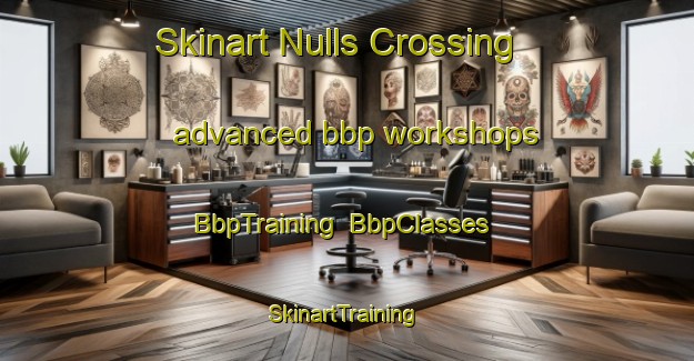 Skinart Nulls Crossing advanced bbp workshops | BbpTraining | BbpClasses | SkinartTraining-United States